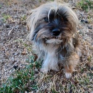 Meet your Posher, Gale